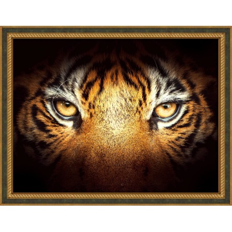 Diamond Painting The Eye Of The Tiger Borduurpakketten Belgie Vlug Geleverd Grote Keuze
