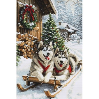 Borduurpakket Luca-S The Magic Of The Nordic Winter B722