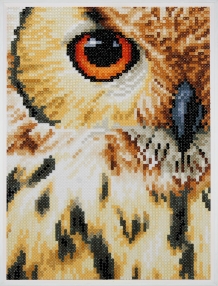 Diamond Painting Hibou