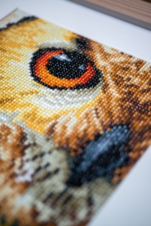 Diamond Painting Hibou